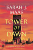 Tower of Dawn (Throne of Glass #6)