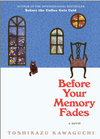 Before Your Memory Fades