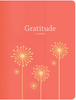 Gratitude: A Journal