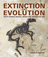 Extinction and Evolution