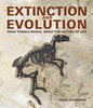 Extinction and Evolution