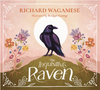 The Inquisitive Raven