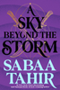 A Sky Beyond the Storm #4
