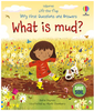 What is Mud?
