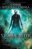 Stormcaster (A Shattered Realms Novel, Book 3)