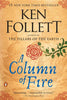 A Column of Fire (Kingsbridge #3)
