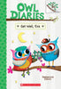 Owl Diaries #16: Get Well Eva