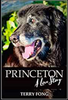 Princeton: A Love Story