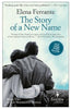 The Story of a New Name (Neapolitan Novel #2)
